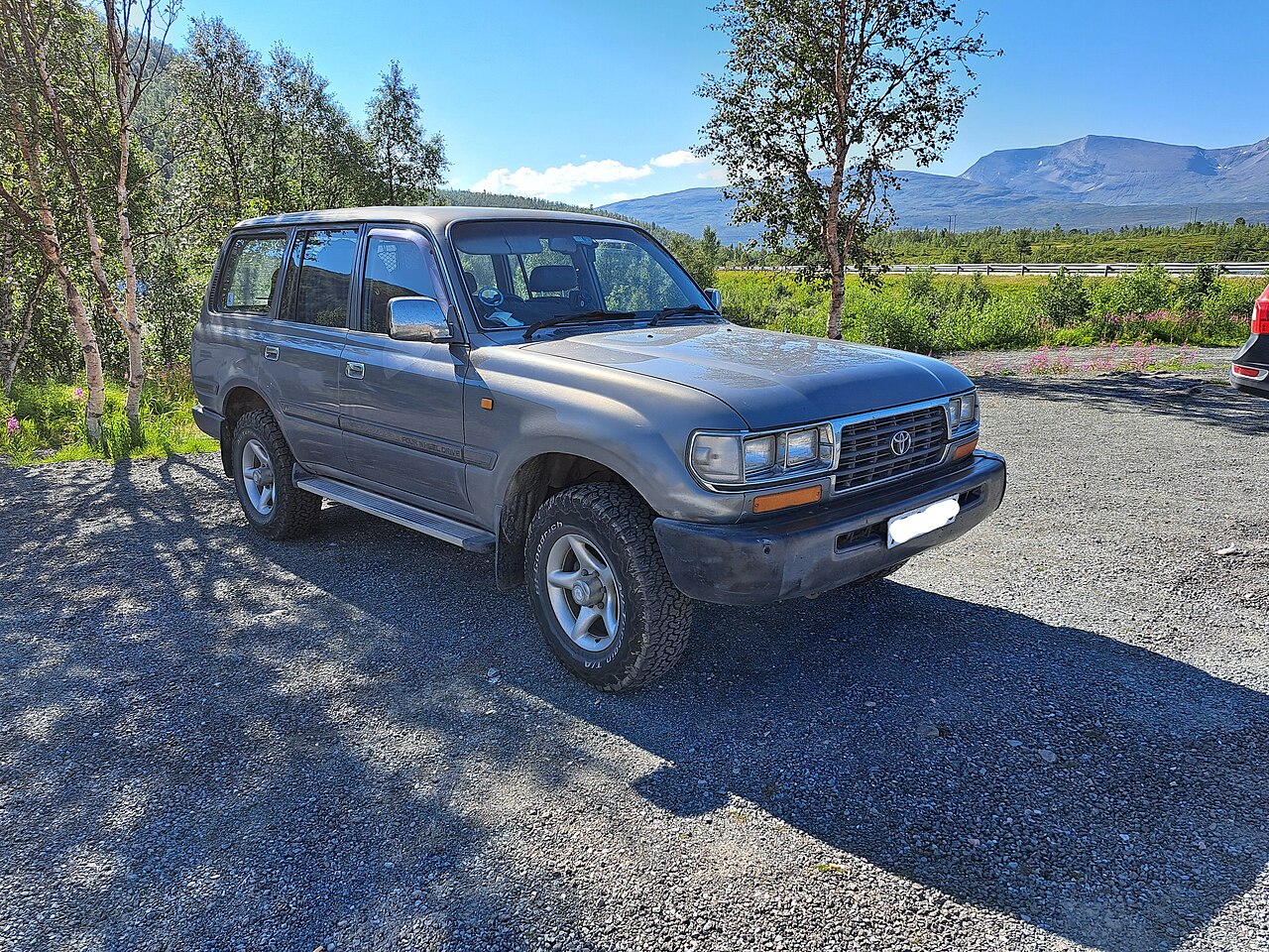 1994 Toyota Land Cruiser 80 VX
